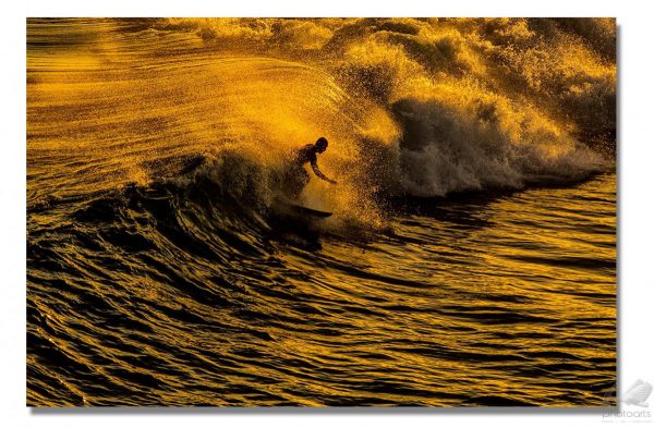 Surfista Dourado - Alexandre Militao